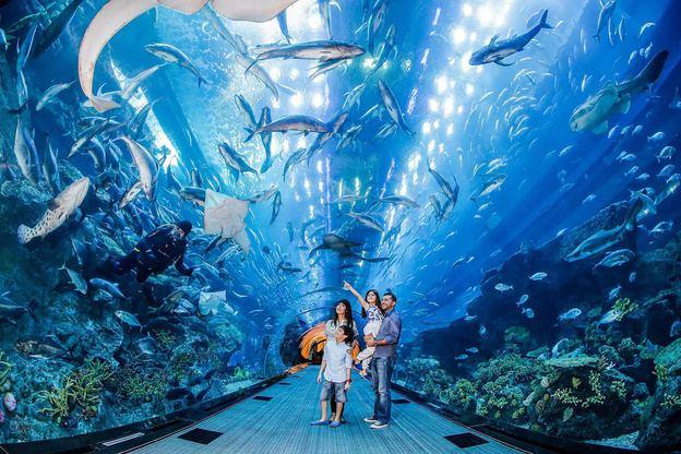 Aquariums