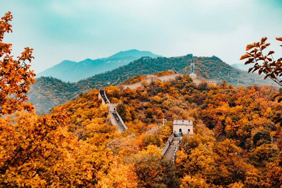 China visa